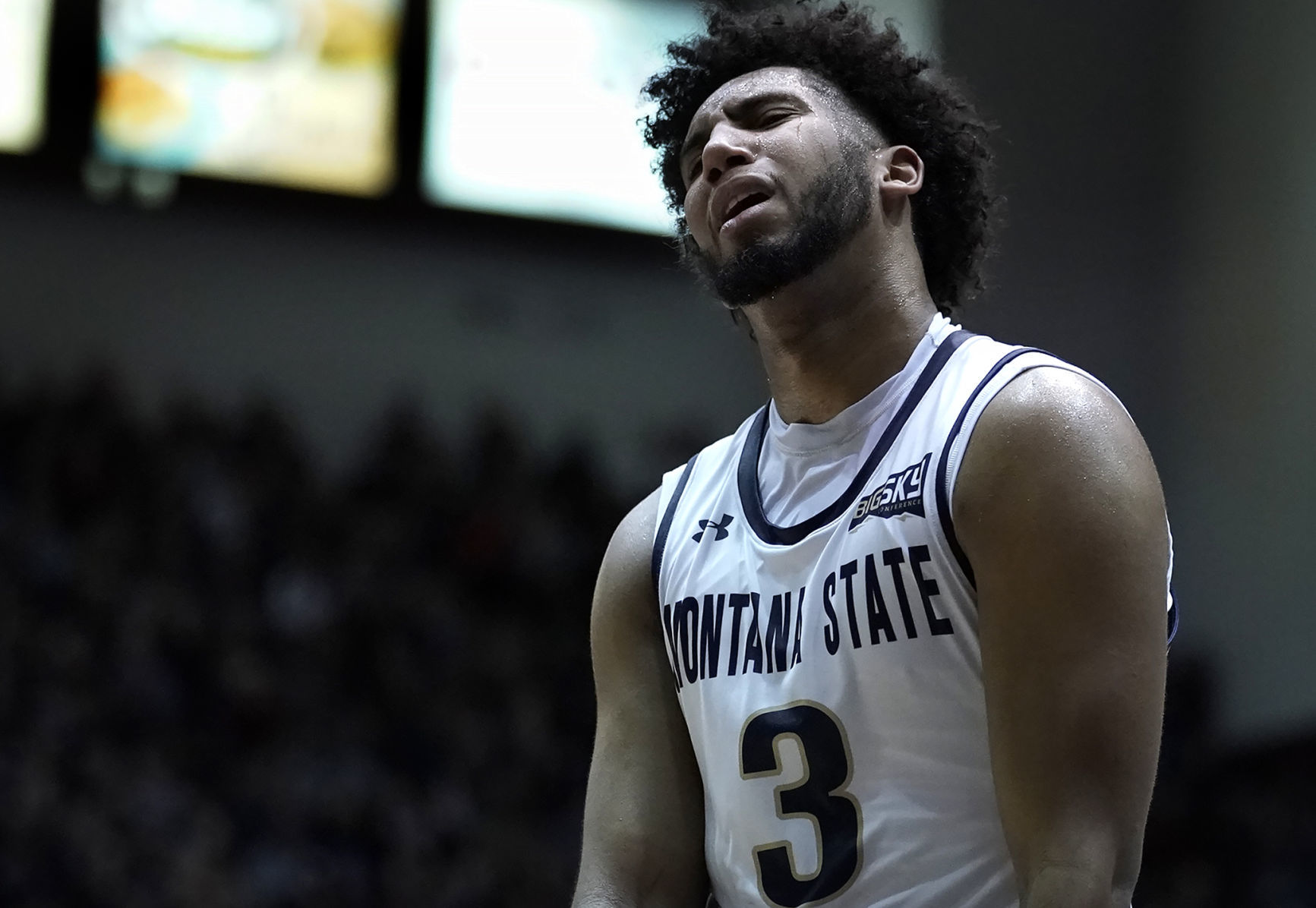 Griz v Cats-25-tm.JPG